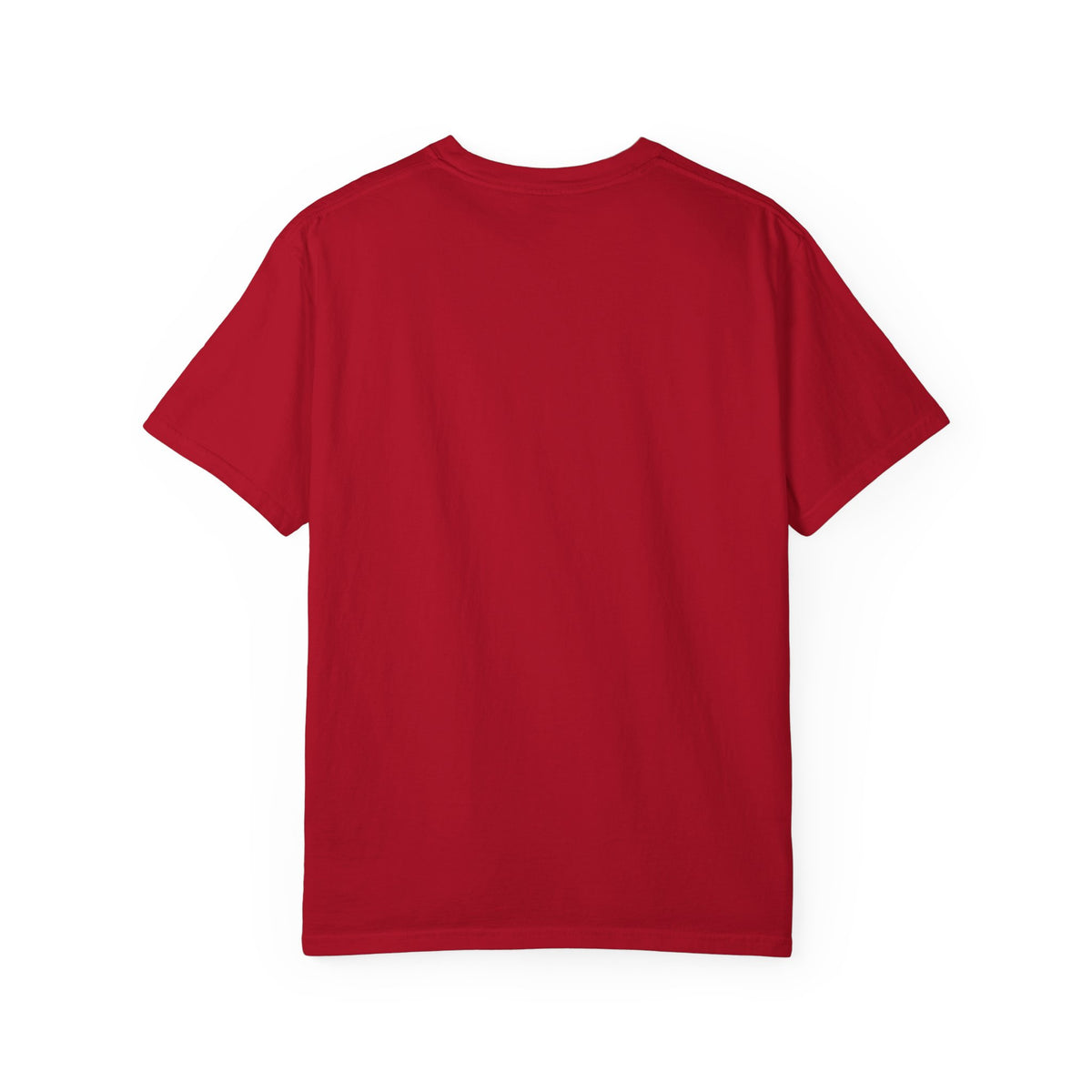 Old Glory T-Shirt | Unisex Garment-Dyed Tee for Pirate Lovers | Beachwear, Gift for Dad, Casual Wear, Festivals, Birthday Present