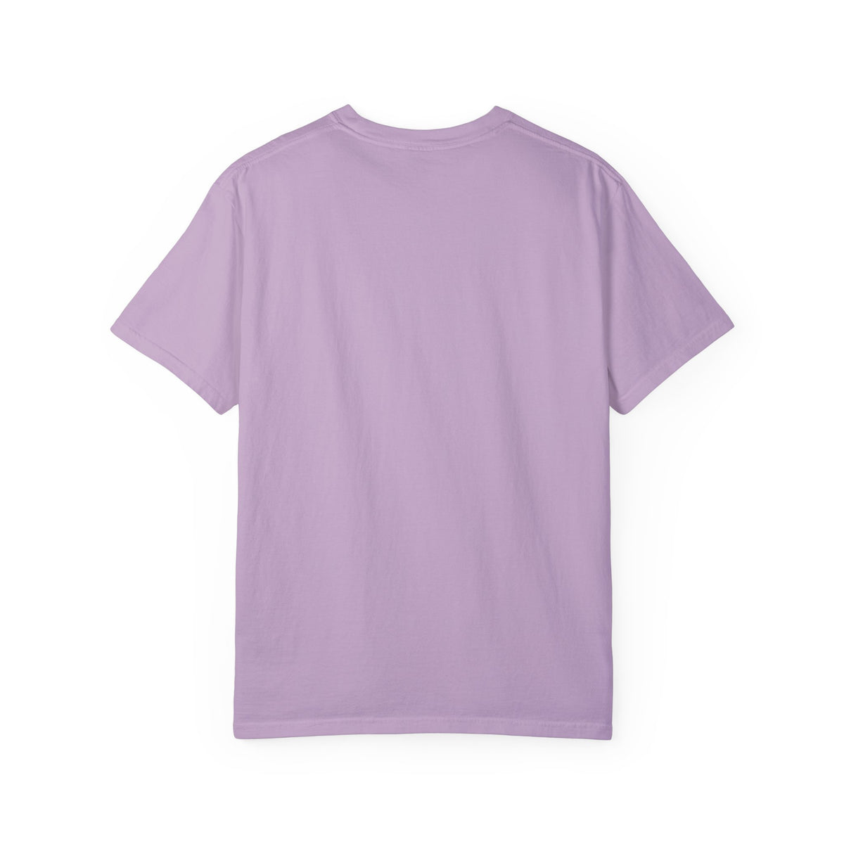 Stay Scallywag Garment-Dyed T-shirt