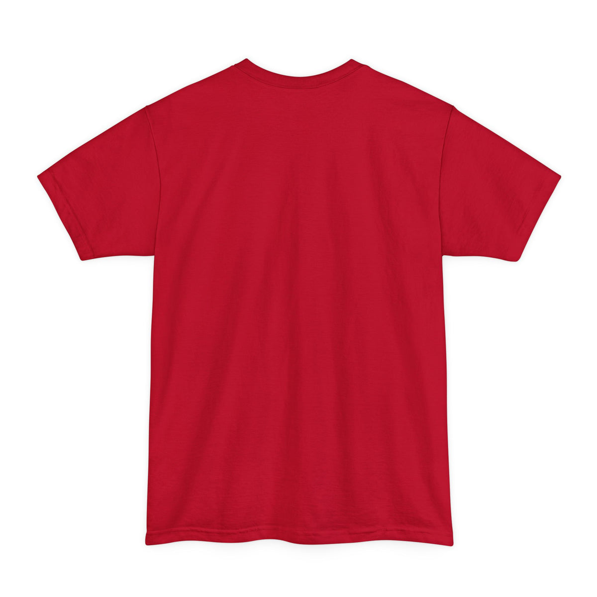 Bearded Scallywags 4th July  T-Shirt | Fun Unisex Tee for Beardsmen | Great for Casual Wear, Festivals, Birthdays, and Gifts