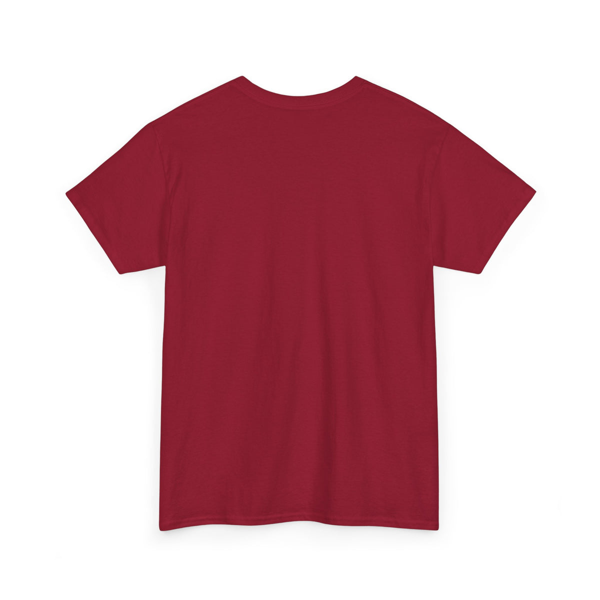 Sons and Guns Heavy Cotton Tee